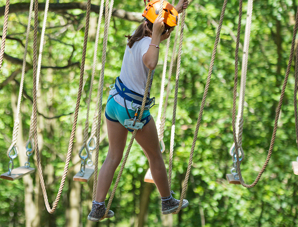 Zimska šola v naravi in poletna šola v naravi 