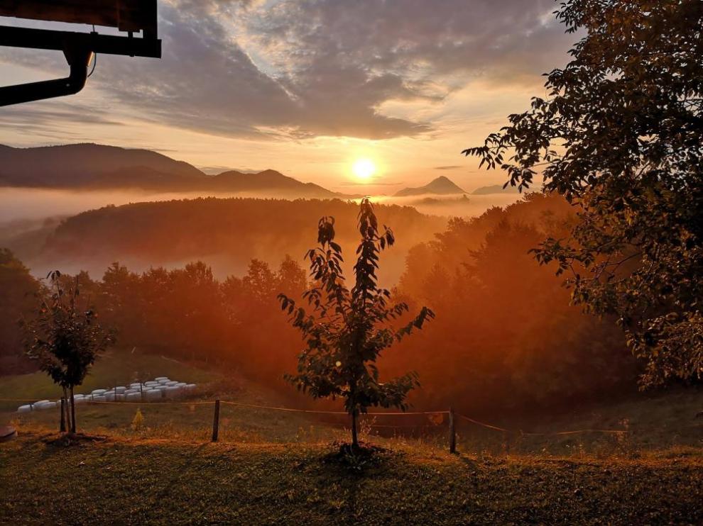 Turistična kmetija Marjanca, Rogaška Slatina