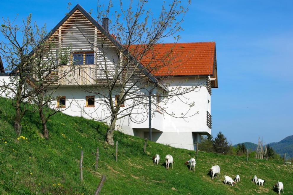 Turistična kmetija Marjanca, Rogaška Slatina