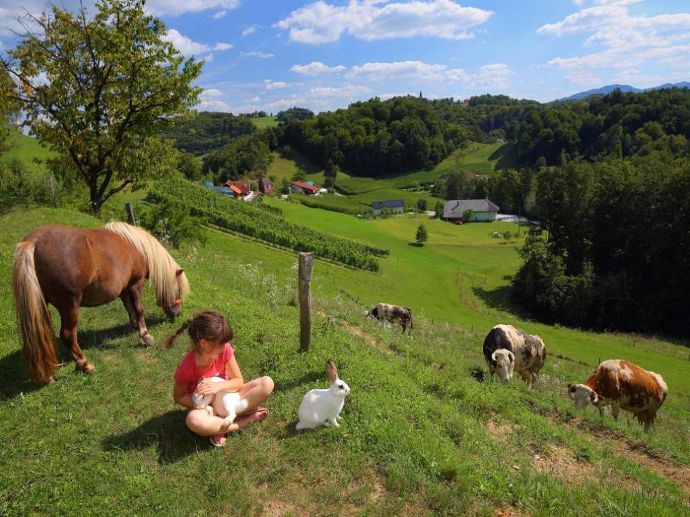 Turistična kmetija Marjanca, Rogaška Slatina