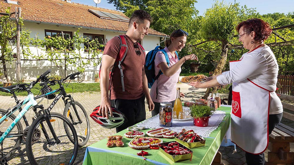 Kolesarske poti za družine Moravske Toplice