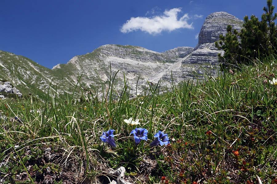 Voden Fotolov Bohinj