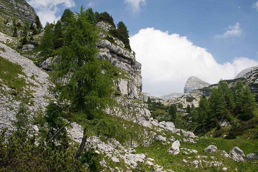 Voden Fotolov Bohinj